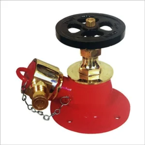 Single Head Landing Valve (SS & Gun Metal)